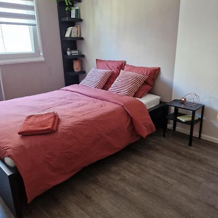Robertsau Tres Bel Appartement Strasbourg Bagian luar foto