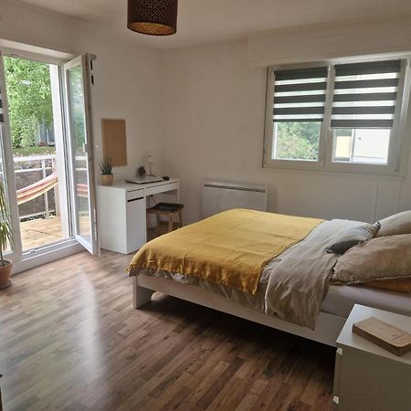 Robertsau Tres Bel Appartement Strasbourg Bagian luar foto