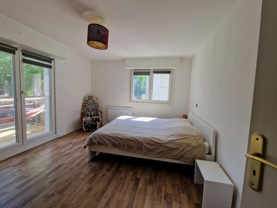 Robertsau Tres Bel Appartement Strasbourg Bagian luar foto