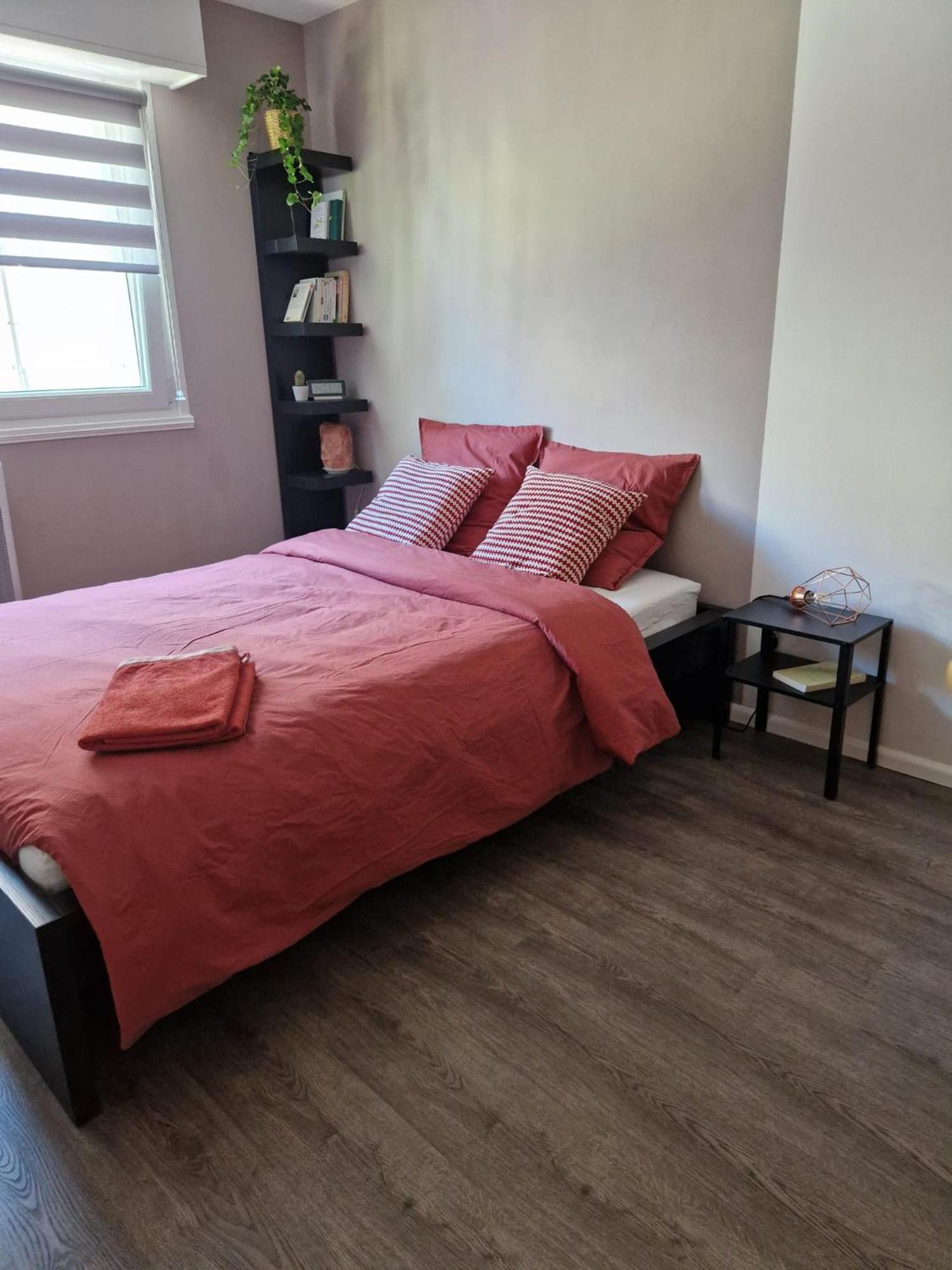 Robertsau Tres Bel Appartement Strasbourg Bagian luar foto